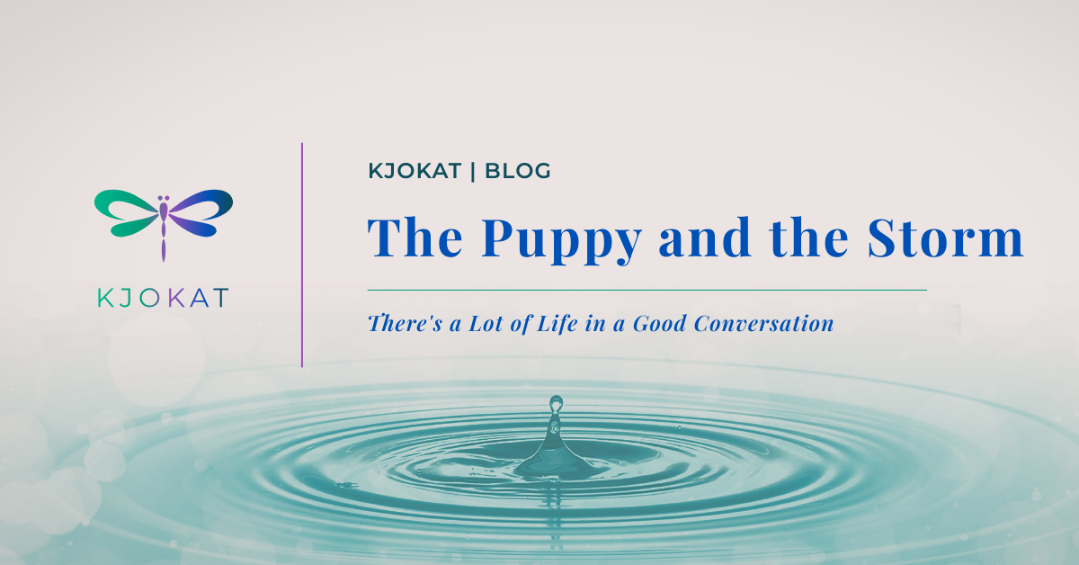 The Puppy and the Storm